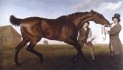 George Stubbs hambletonian,rubbing down china oil painting reproduction